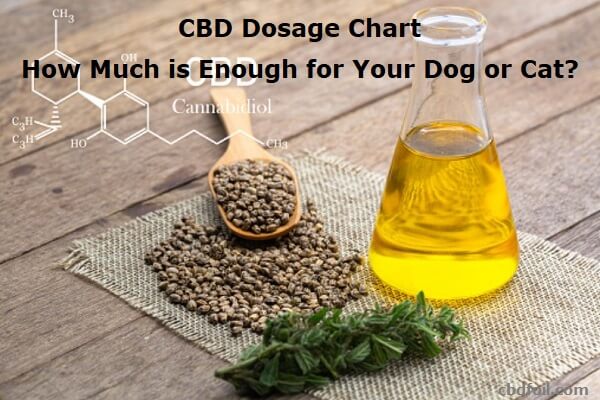 CBD Dosage Chart - How Much is Enough for Your Dog or Cat