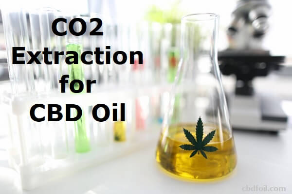 CO2 Extraction for CBD Oil