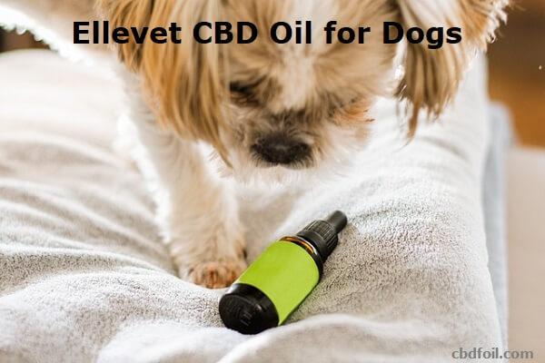 Ellevet CBD Oil for Dogs